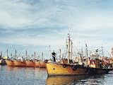 Fishing Fleet in Port, Mar Del Plata, Argentina, South America Photographic Poster Print by Mark Chivers, 16x12