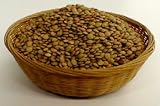 Organic Sprouting Seeds Lentil