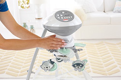 fisher price meadow swing