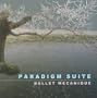 Paradigm Suite