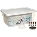 American Educational Irradiated Seed Germ Kit
