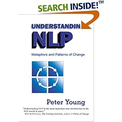 Understanding NLP: Metaphors and Patterns of Change