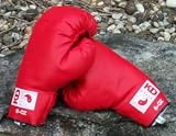 Youth Boxing Gloves