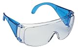 Bosch Schutzbrille