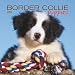 Border Collie Puppies 2008 Mini Wall Calendar