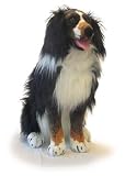 World Safari Plush Life Like Bernese Mountain DOG 26