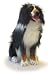 World Safari Plush Life Like Bernese Mountain DOG 26
