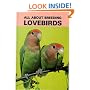 All About Breeding Lovebirds