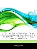 Tang Dynasty Jiedushi Of Jingyuan Circuit, including: Duan Xiushi, Zhu Ci, Li Sheng, Li Huaiguang, Li You, Tian Bu, Zhou Bao