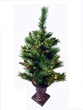 2.5 Pre-lit Potted Battery Operated Led Lighted Dew Berry Christmas Tree
