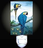 Blue Macaw Parrots Decorative Night Light