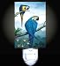 Blue Macaw Parrots Decorative Night Light