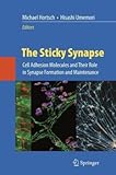 The Sticky Synapse: Cell Adhesion Molecules and Their Role in Synapse Formation and Maintenance-