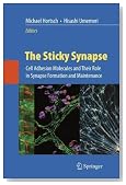 The Sticky Synapse: Cell Adhesion Molecules and Their Role in Synapse Formation and Maintenance