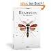 Illustration: Theorie und Zusammenh�nge