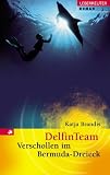 DelfinTeam. Verschollen im Bermuda-Dreieck