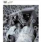 Click here to buy Vespertine by  Bjork .