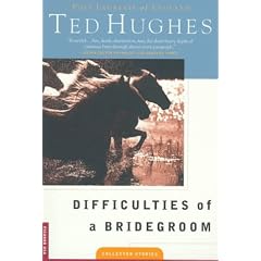 Difficulties of a Bridegroom: Stories
