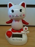 Little Kitty