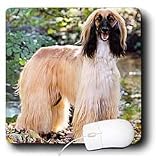 Dogs Afghan - Afghan Hound - Mouse Pads