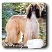 Dogs Afghan - Afghan Hound - Mouse Pads