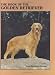 golden retriever - Book of the Golden Retriever