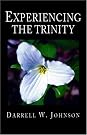 Experiencing the Trinity