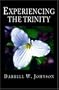 Experiencing the Trinity