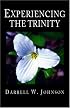 Experiencing the Trinity