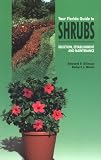 Your Florida Guide to Shrubs: Selection, Establishment, and Maintenance