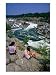 Girls Sitting on Rocks by Potomac River, Great Falls National Park, USA, Rivers & Creeks Photographic Poster Print by Mark Gibson, 18x24