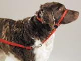 Premier Gentle Leader Head Dog Collar, Black, Medium 41YRLChr03L. SL160 Premier Gentle Leader Head Dog Collar, Black, Medium