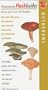 Peterson Flashguide to Mushrooms (Peterson Flashguides (R))