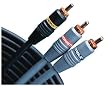 Monster Cable J2 CAMDUB R-6 Camcorder to VCR Tape-to-Tape Copy Hook-Up Kit (6 Feet)