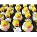 Two dozen (24) Mini Flower Girl & Ring Bearer Wedding Rubber Duck Party Favors