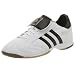 adidas Men's Telstar Indoor Soccer Shoe