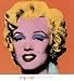 Shot Orange Marilyn, 1964 Art Poster PRINT Andy Warhol 26x28