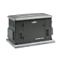 Briggs & Stratton 40302 12,000 Watt IntelliGen Natural Gas/Liquid Propane Powered Air Cooled Home Standby Generator (CARB Compliant)
