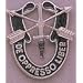 Special Forces Crest Pin