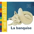 Animaux de la banquise