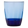 Zak Designs Aquam Virtually Unbreakable 14-Ounce Polycarbonate DOF Tumbler, Ink