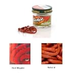 Berkley Gulp! 1