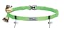 FuelBelt Gel Ready Race Number Belt