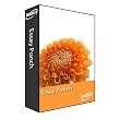 Essay Punch ( Grades 7 to adult ): Home Version