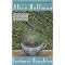explore other cultures through magical realism