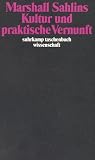 Produkt-Bild: Kultur und praktische Vernunft (suhrkamp taschenbuch wissenschaft)