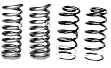 Ford Racing M5300B Front/Rear Spring Kit For 79-00 Mustang