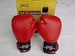 Kids Punching Bag and Kids Boxing Gloves Set