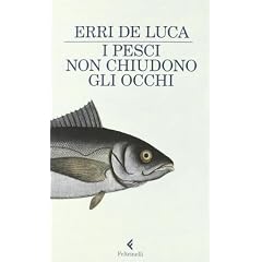 I pesci non chiudono gli occhi (I narratori)