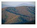 Fall Colors in Forests Along Skyline Drive, Massanutten Mountain in Back Photographic Poster Print by Raymond Gehman, 24x18